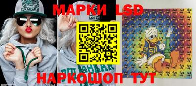 стаф Славгород