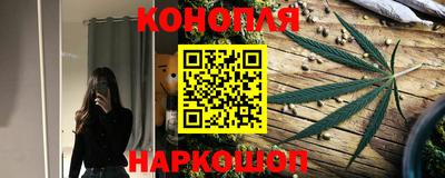 стаф Славгород