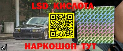 стаф Славгород