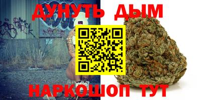 стаф Славгород
