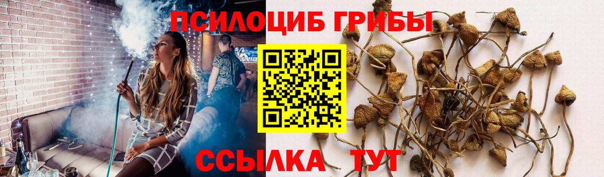 Галлюциногенные грибы MAGIC MUSHROOMS Нефтеюганск