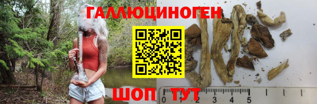Галлюциногенные грибы Psilocybine cubensis  Вход с VPN  Галлюциногенные грибы GOLDEN TEACHER  Нефтеюганск 